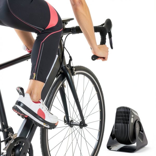 Vornado FLY MAX High Velocity Fan Black Modern-1