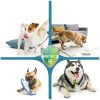 No Chew Spray For Dogs VICSOM Apple Repellent 6.76 FL Oz-2