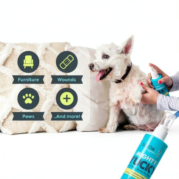 Mighty Paw Yucky No Chew Spray 8 oz Bitter Apple Dog Repellent-5