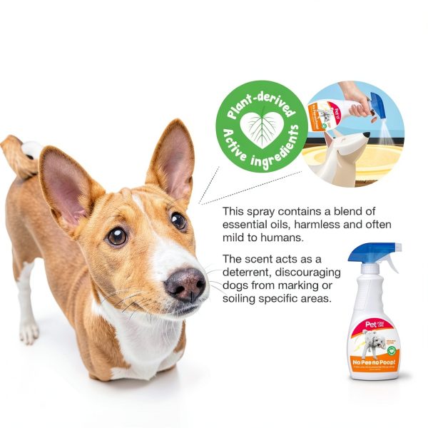 No Pee No Poop Potty Training Spray 16 Fl Oz Non Toxic by PET YOUR PET-2