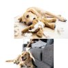 Bitter Apple Spray for Dogs PurrBark 2 Bottle Blue Repellent Spray-3