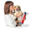 Company of Animals Pet Corrector Trainer 50ml Stops Barking Jumping-1