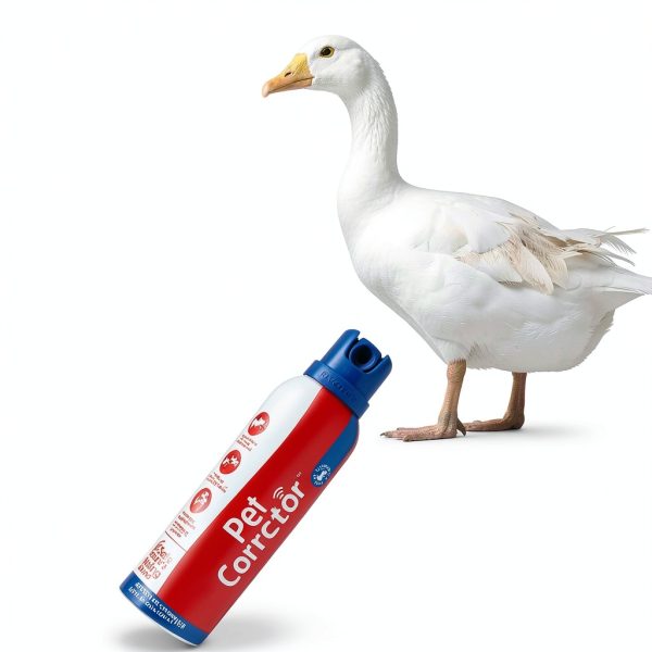 Company of Animals Pet Corrector Trainer 50ml Stops Barking Jumping-3