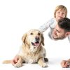 Bitter Apple Spray for Dogs PurrBark 2 Bottle Blue Repellent Spray-5