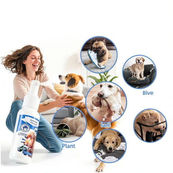 Premier Pet Bitter Apple Spray for Dogs 50ml Anti-Chew Repellent-1
